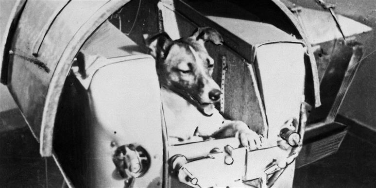 60 år siden: Hunden Laika blev den første i rummet -