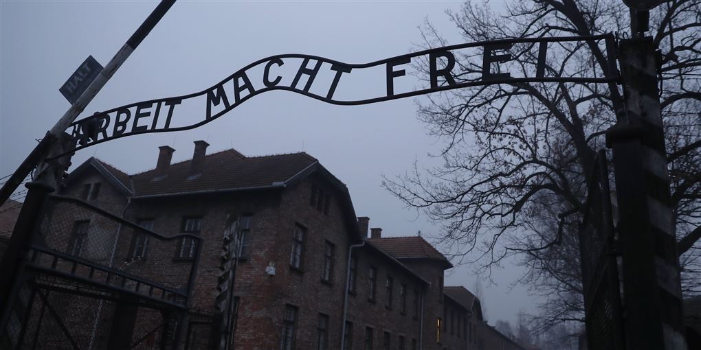 Kald ikke Auschwitz polsk: Koster fængselsstraf - Avisen.dk