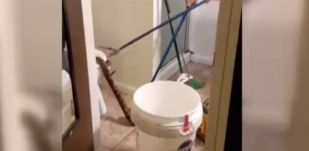 slange hives op af toilet