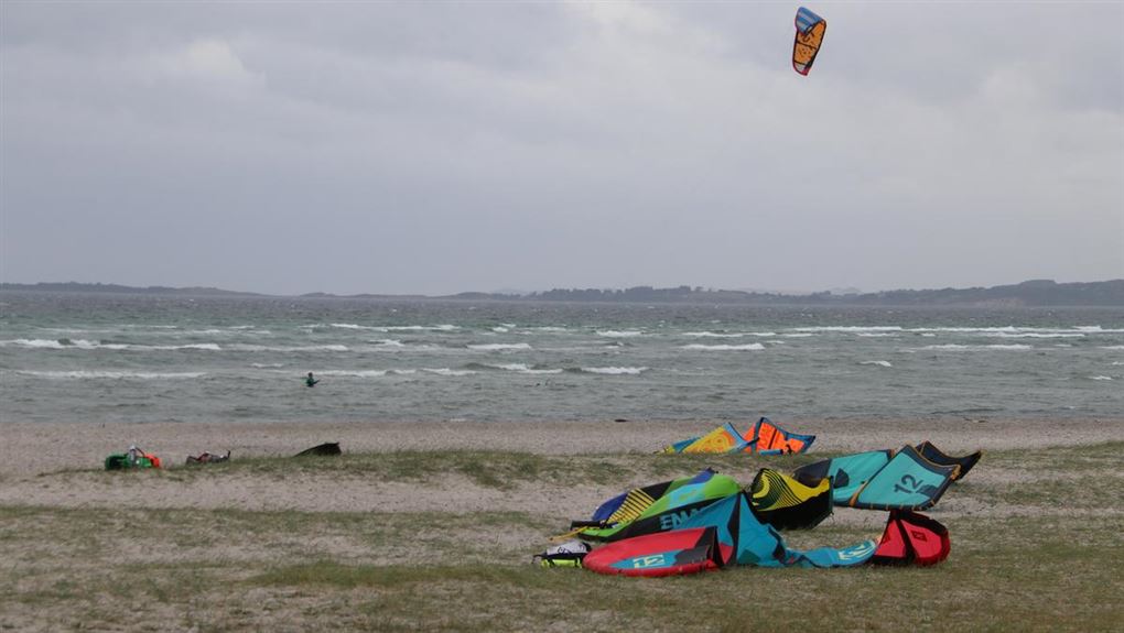 Stranden ved Ebeltoft med flere kitesurfere på stranden og en enkelt i havet.