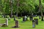 En kirkegård med grønt græs, gravstene og smukke træer