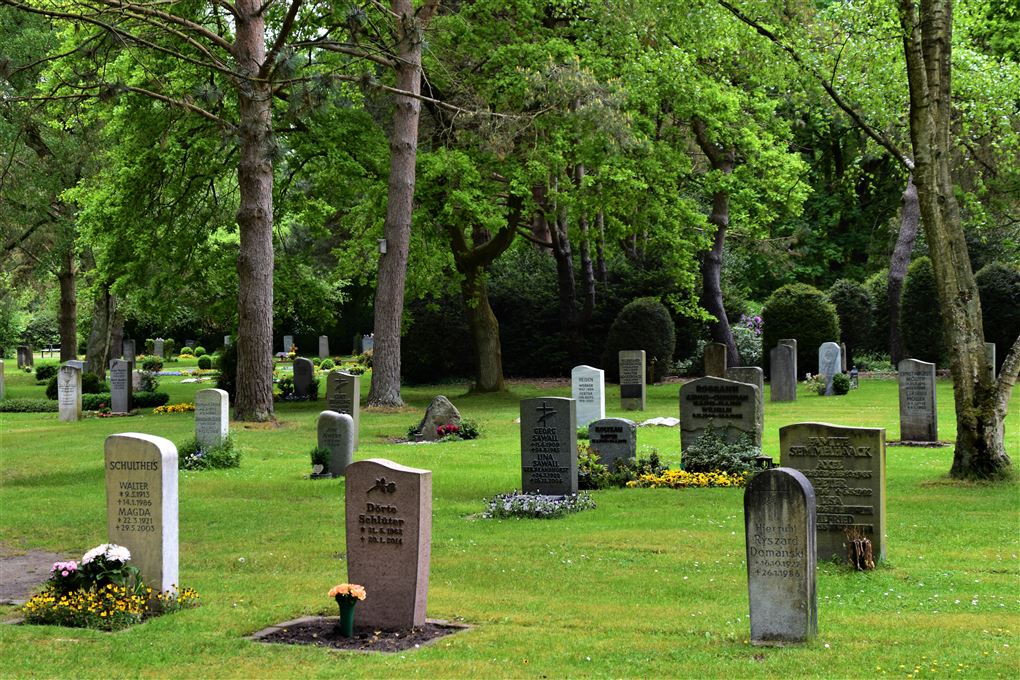 En kirkegård med grønt græs, gravstene og smukke træer