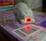 En lille scanner formet som en mus