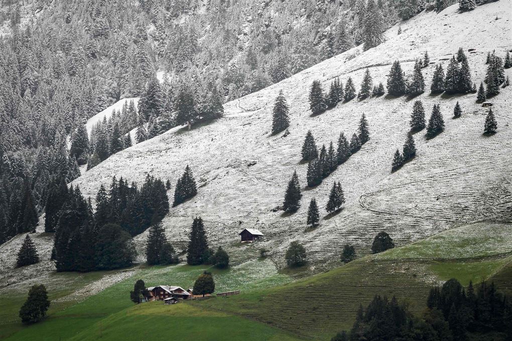 En bjegside i Schweiz med masser af sne