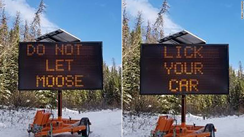 skilt ved siden af snedækket vej advarer bilister om at lade elgene slikke på bilen