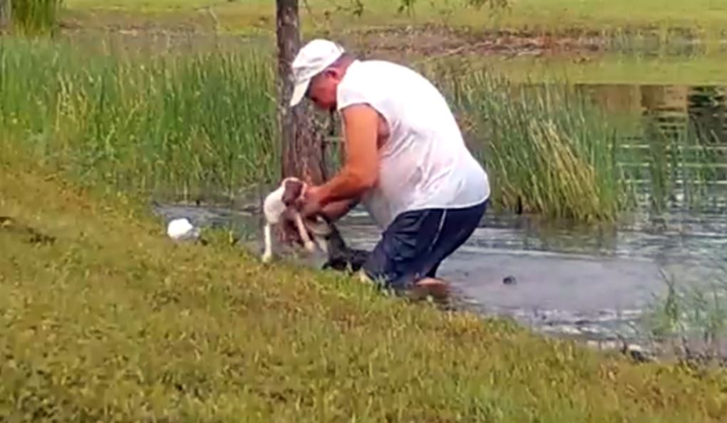 Mand sidder ved vandkant og kæmper med alligator med hund i gabet