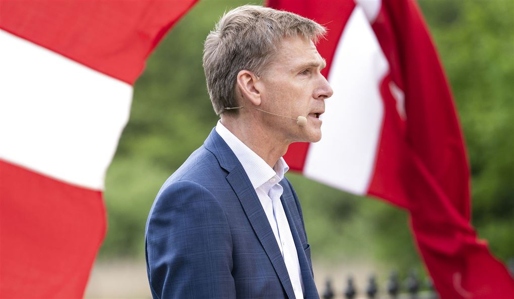DF's formand Kristen Thulesen Dahl taler ved siden af to danske flag 