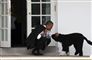 Obamama nusser en hund på trappen foran Det Hvide Hus