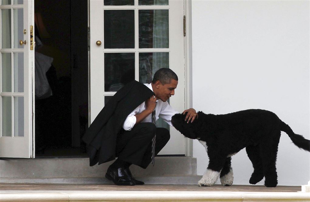 Obamama nusser en hund på trappen foran Det Hvide Hus