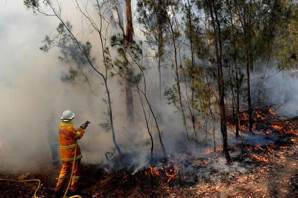 Brandmand kæmper med skovbrand