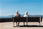 Et ældre par sidder på en bænk