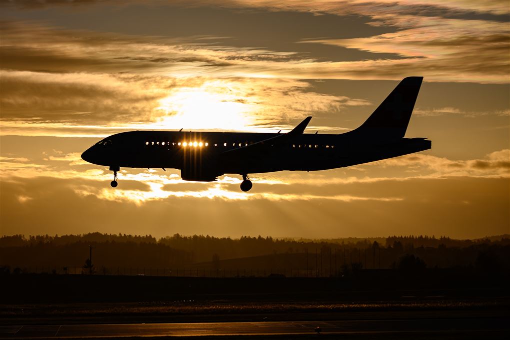 fly i luften i solnedgang