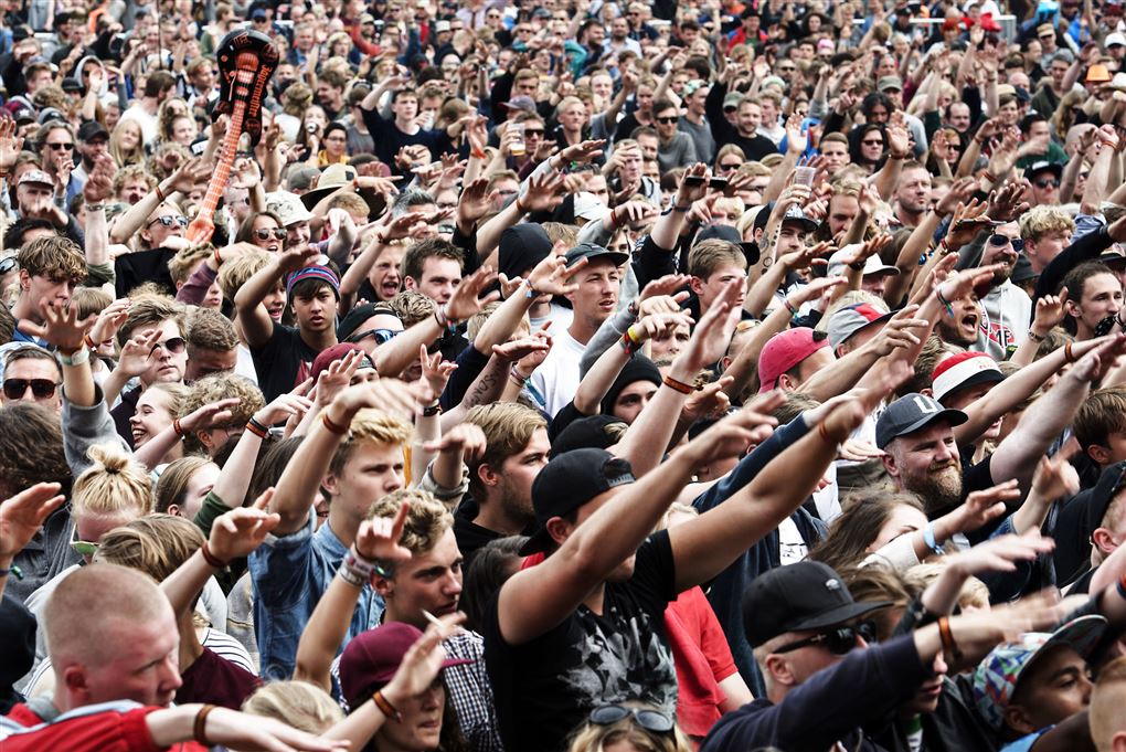 Folkemængde til festival