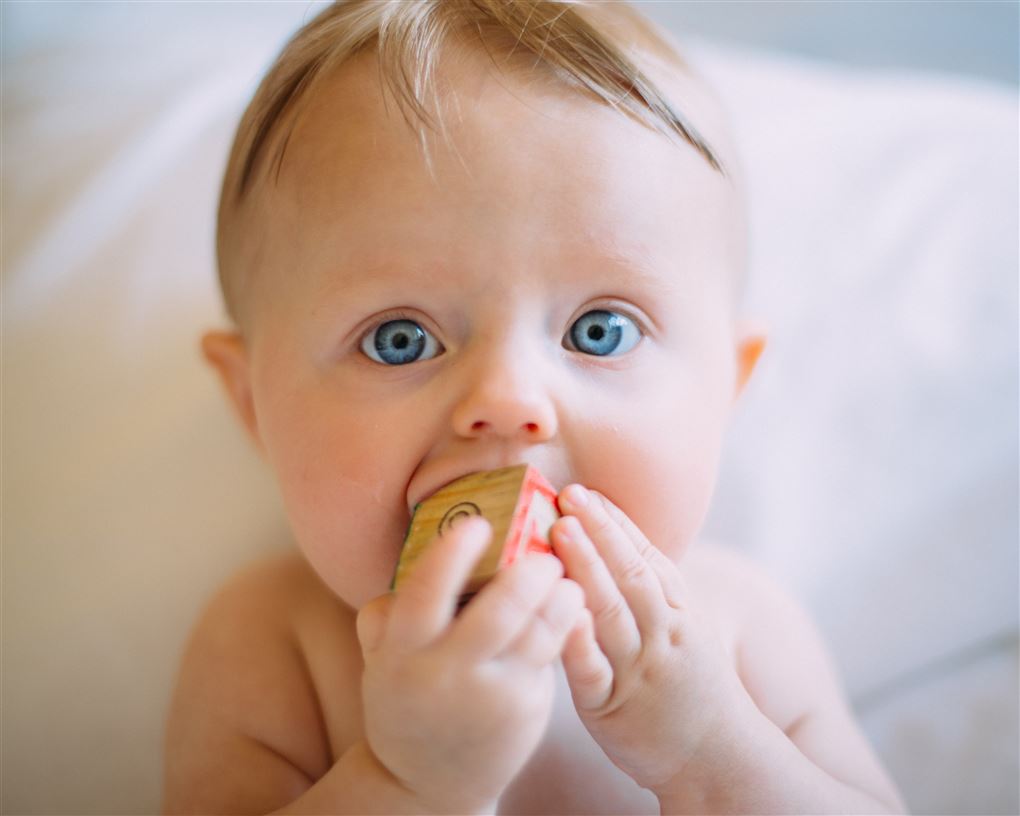En baby med store blå øjne med en legeklods i munden mens han eller hun kigger direkte ind i kameraet. 