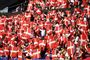 danske fodboldfans jubler på stadion