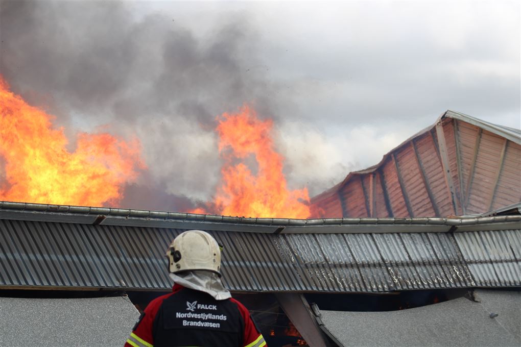 brand