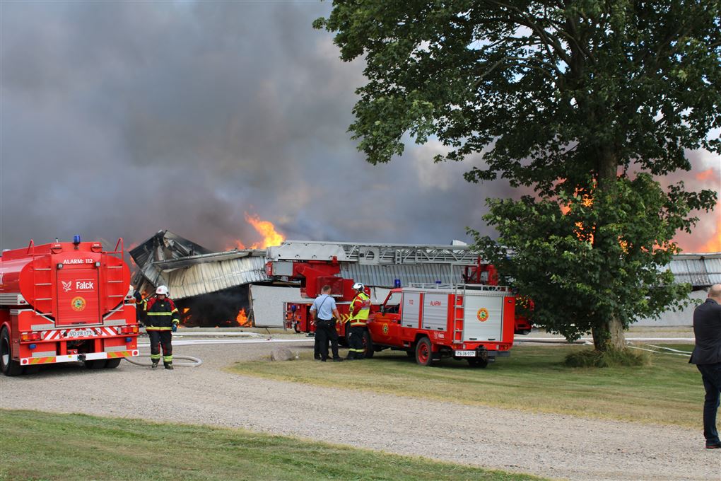 brand