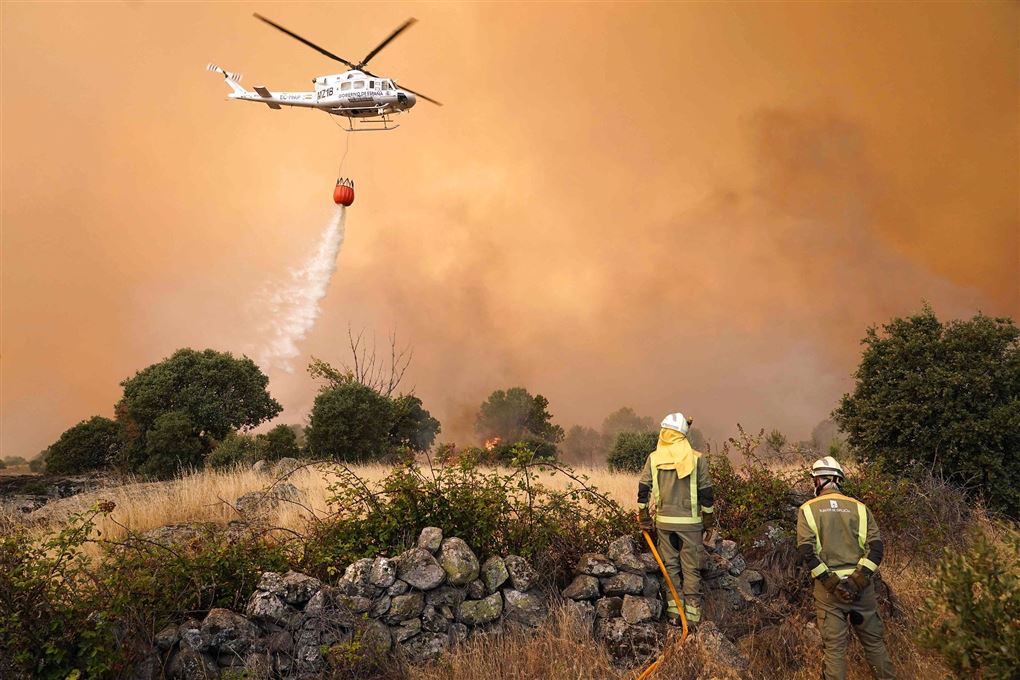helikopter forsøger at slukke naturbrand 