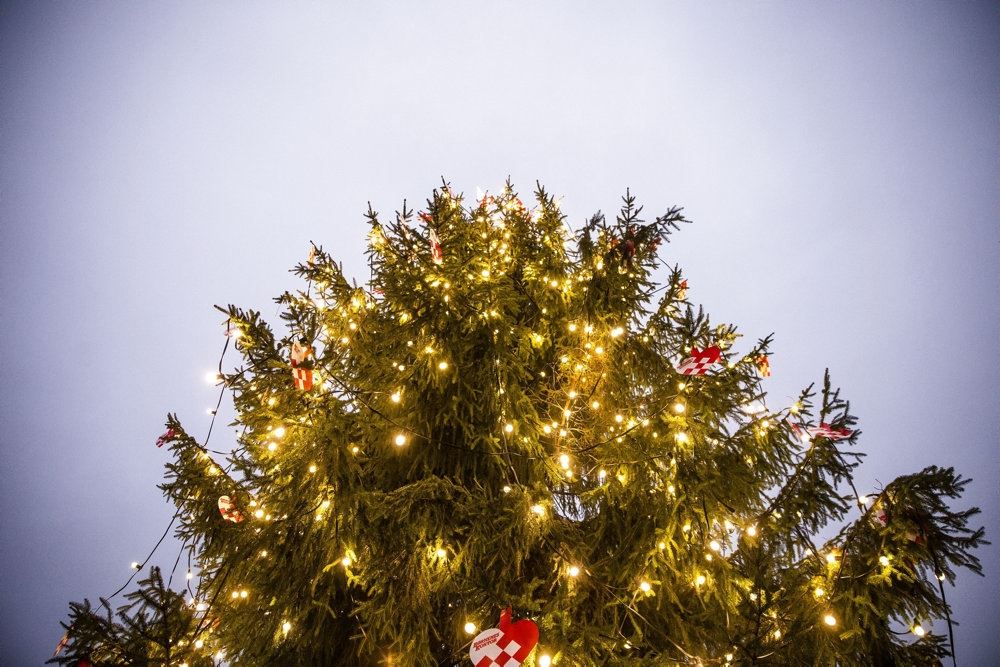 juletræ
