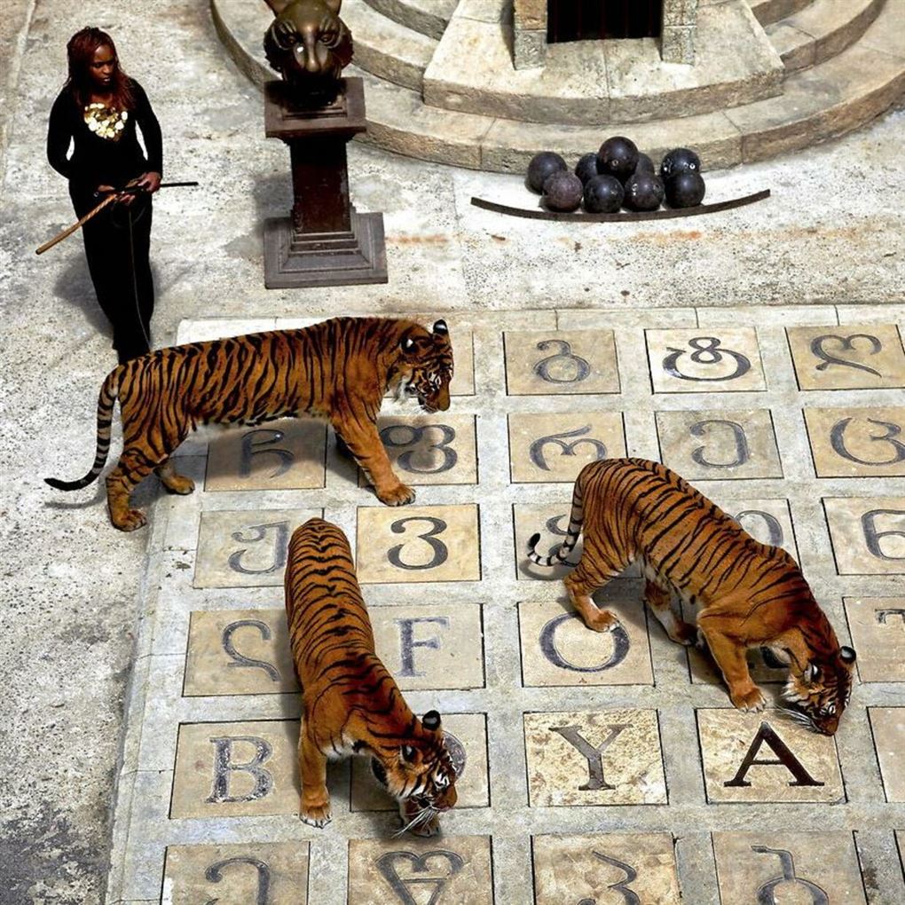 Monique med Tigre