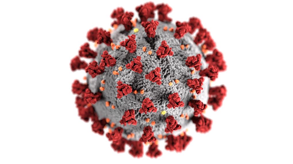 Et modelbillede af en corona virus