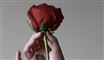hånd med rose 