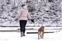 kvinde med hund i sneen