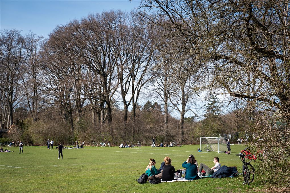 Folk i park