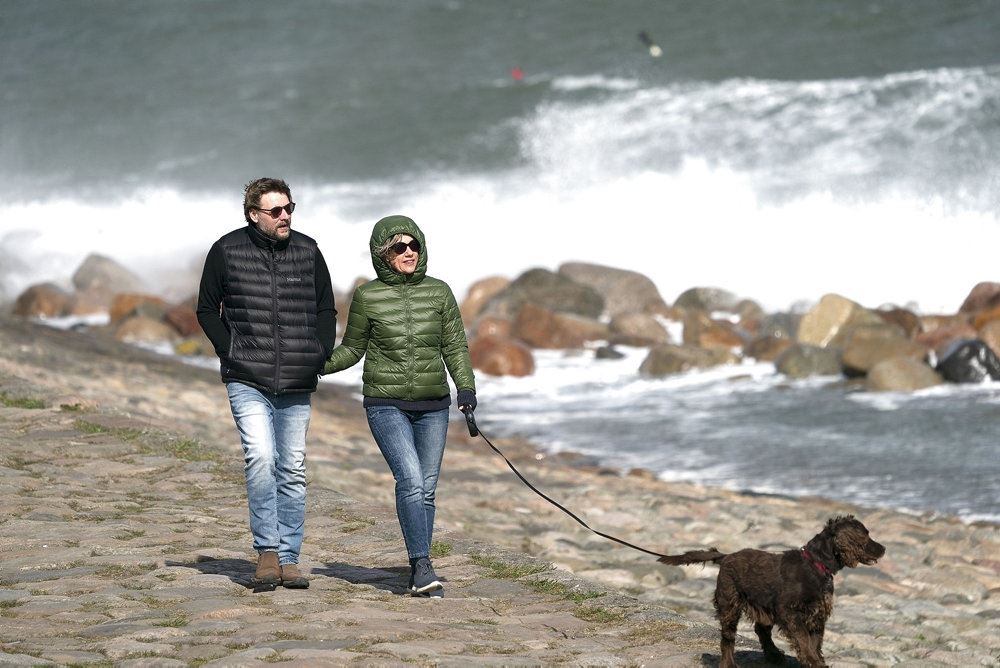 to mennesker på strand med hund