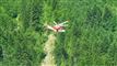 Helikopter over skov