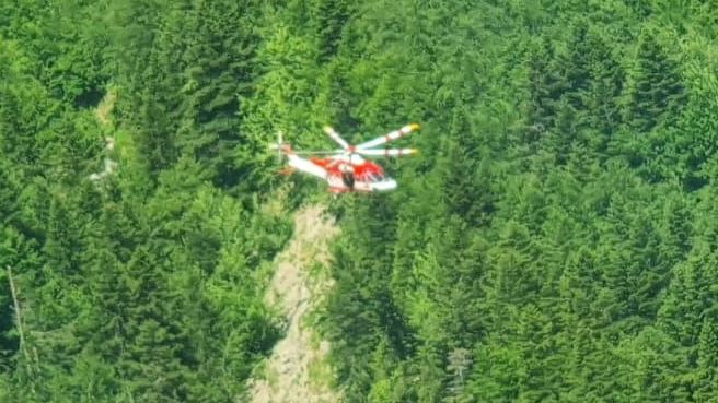 Helikopter over skov