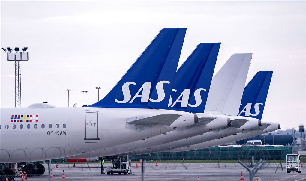 fly står på jorden