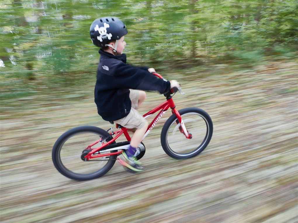 en dreng cykler i en skov
