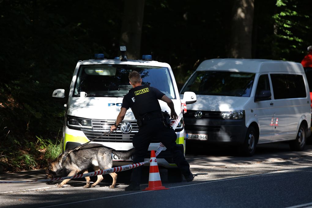 Politiet med en hund ved en vej