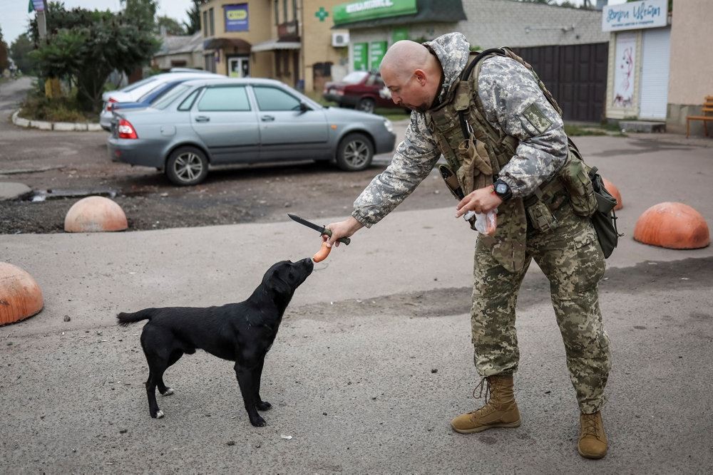 En ukrainsk soldat fodrer hund