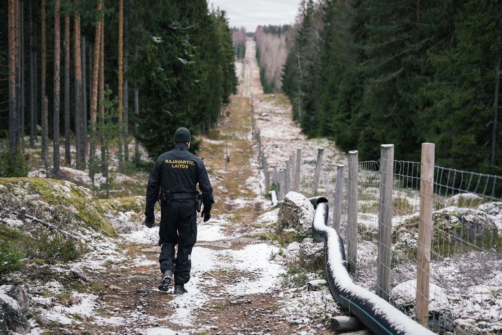 hegn opføres i skov