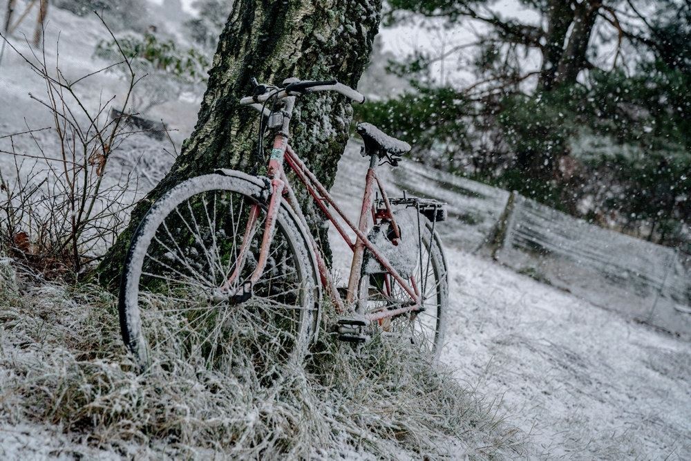 cykel dækket af sne