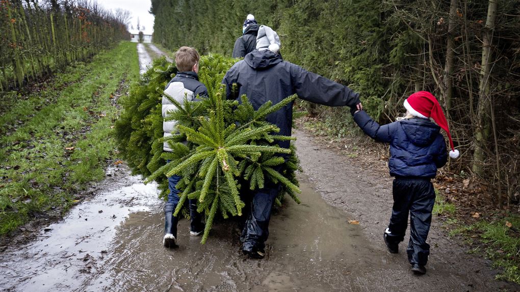 familie med juletræ