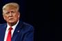 donald trump taler