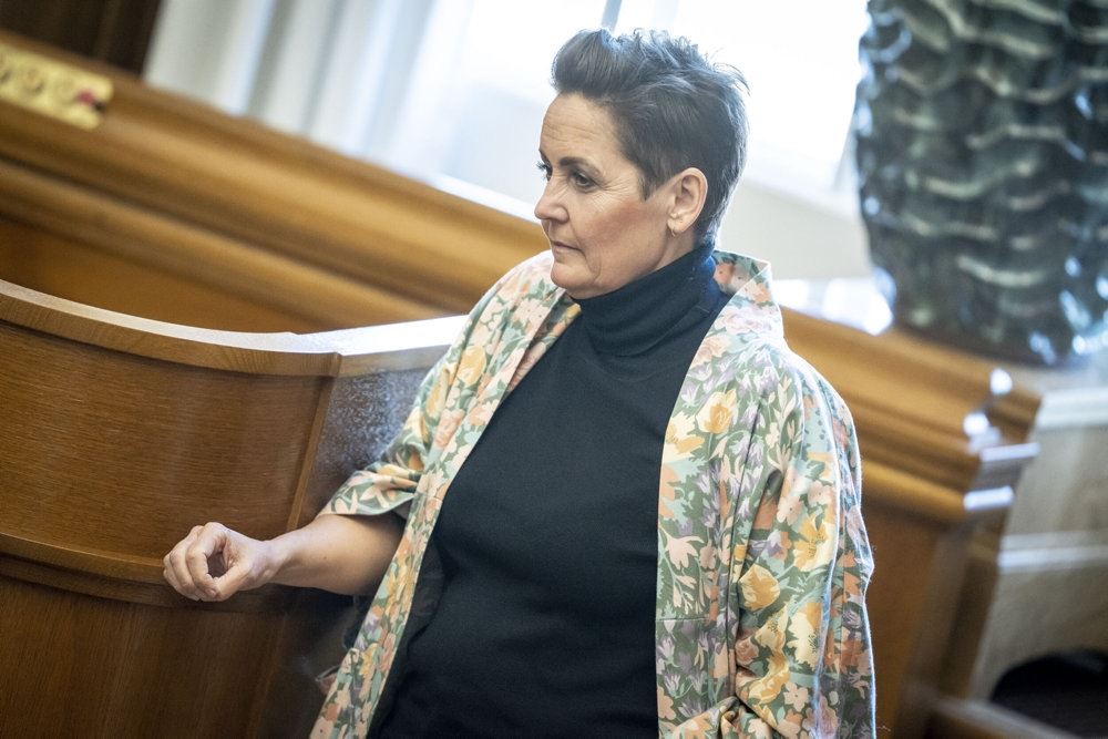 en politiker på Chrsitiansborg