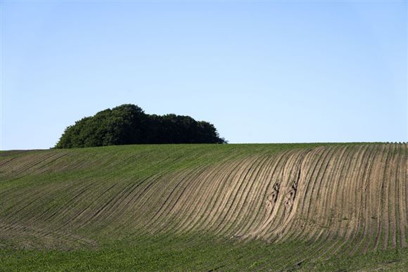 Kraftige Byger På Vej I Weekenden - Avisen.dk