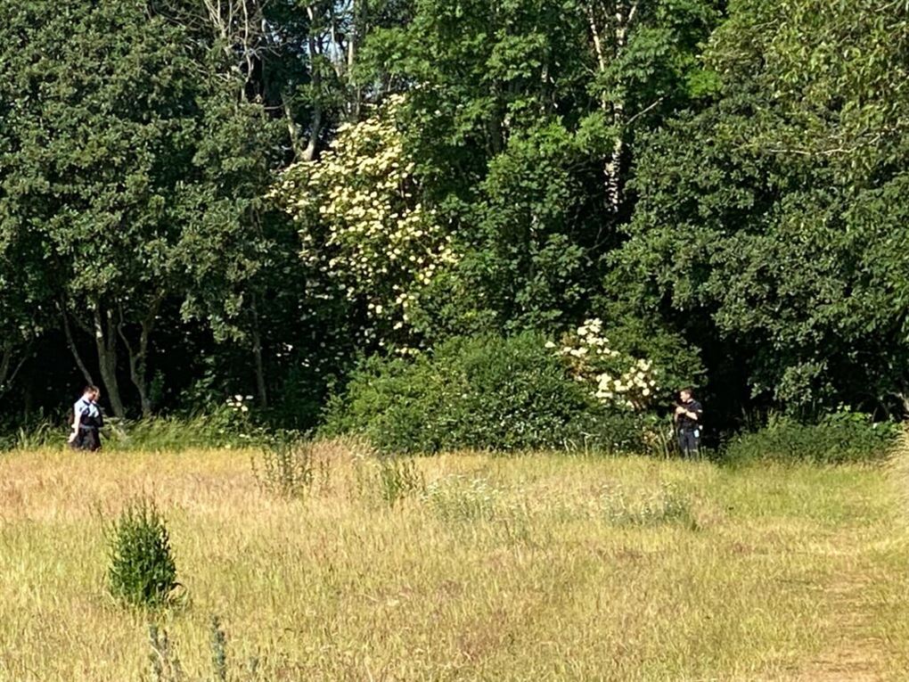 betjente i et skovbryn