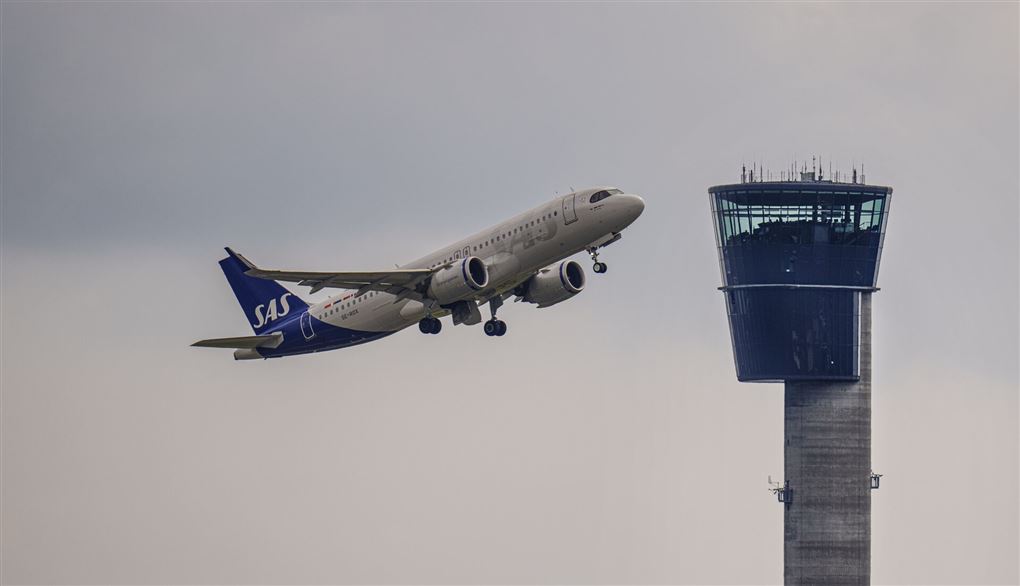 et fly i luften