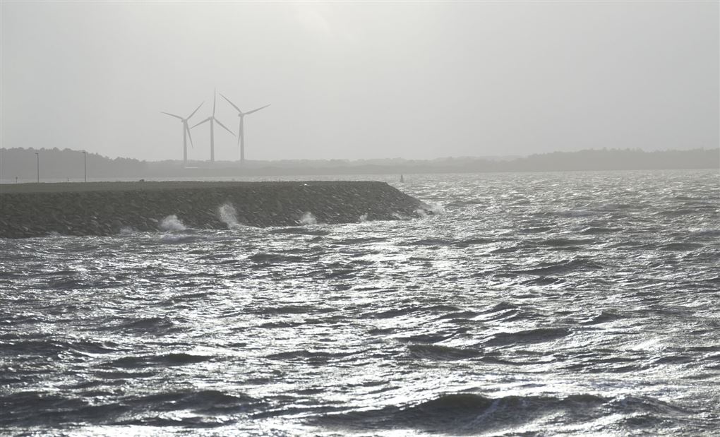Vindmøller ved havet