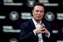 elon musk poserer 