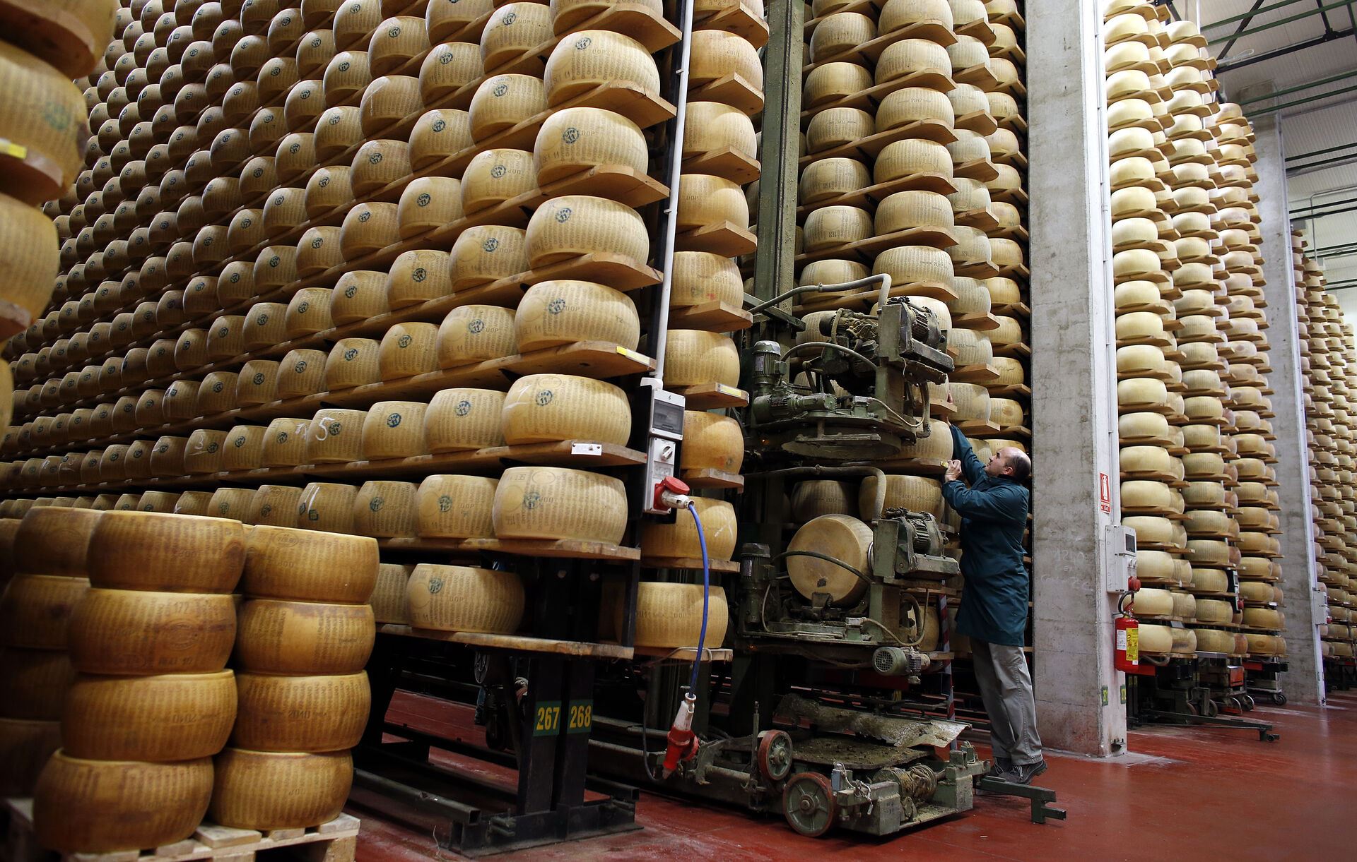 производство сыра в италии