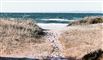 passage i klitter ved strand