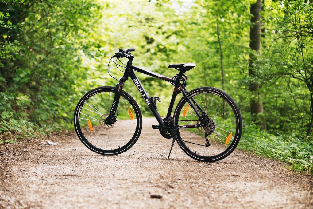 en cykel i en skov