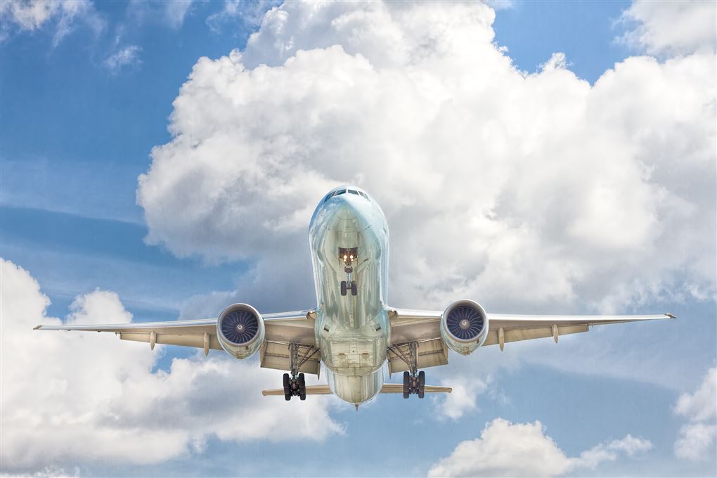 Et fly i luften