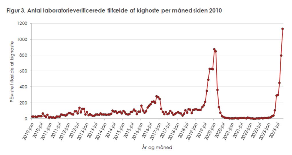 en graf